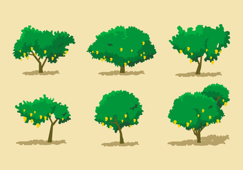 Mango Tree Vector Sets - vector #413975 gratis